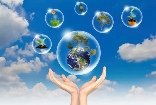 Carbon Credit & REC Trading / Special Projects Implementation